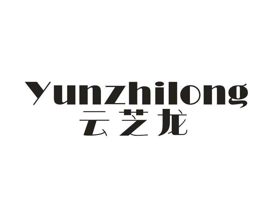 云芝龙