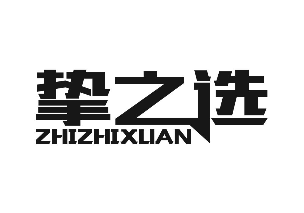 挚之选
