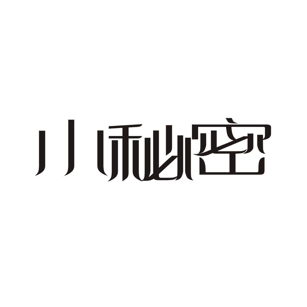 小秘密