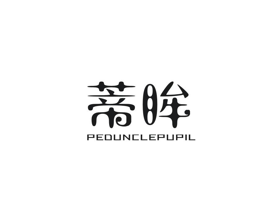 蒂眸 PEDUNCLEPUPIL