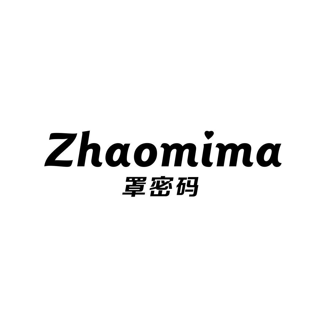 罩密码