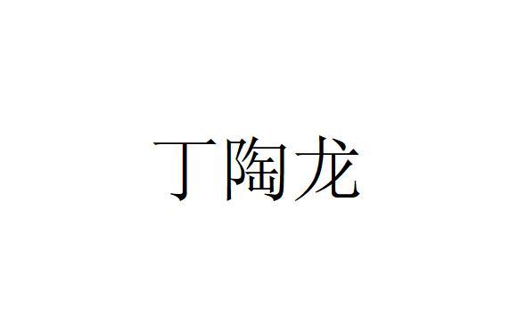 丁陶龙