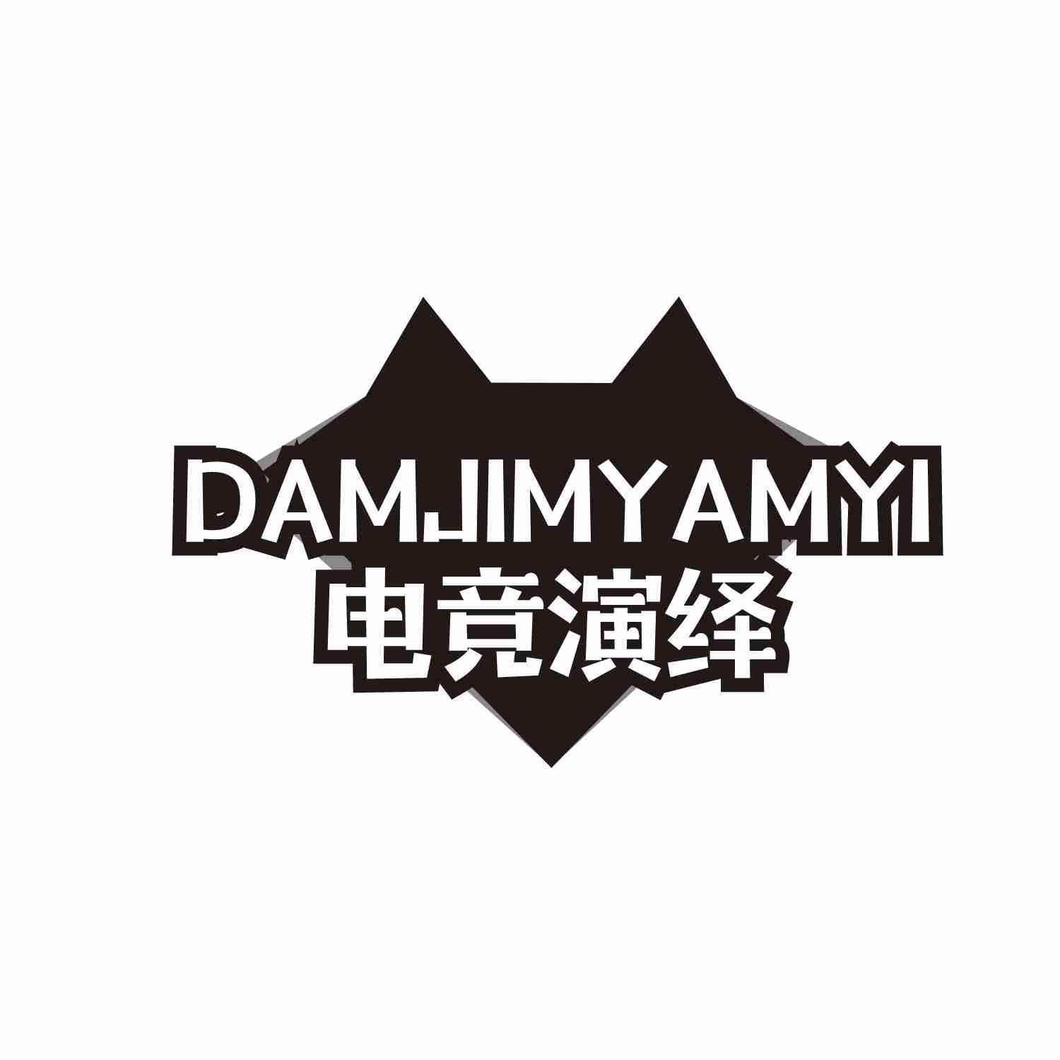 DAMJIMYAMYI 电竞演绎