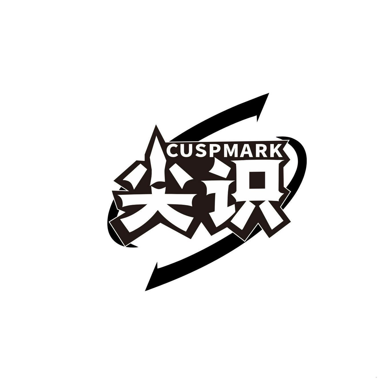 尖识 CUSPMARK