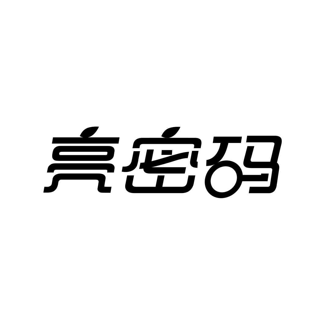 亮密码