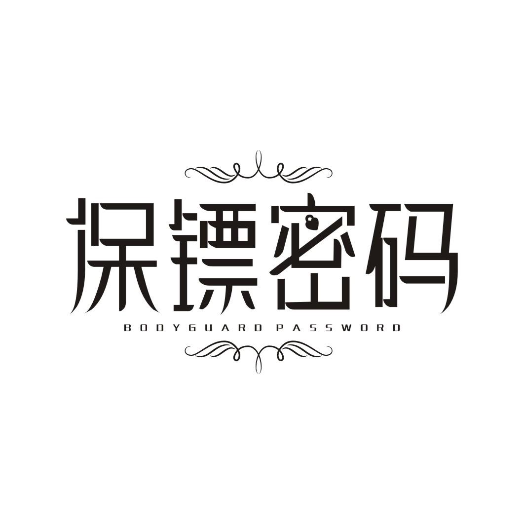 保镖密码 BODYGUARD PASSWORD