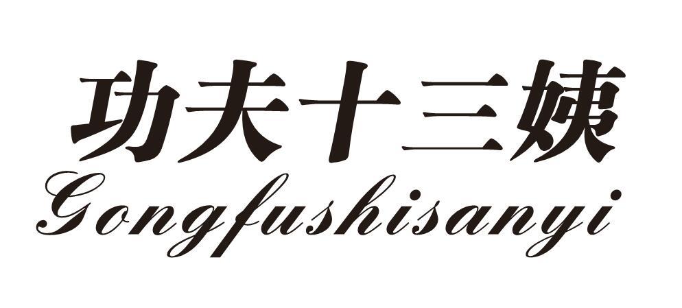 功夫十三姨