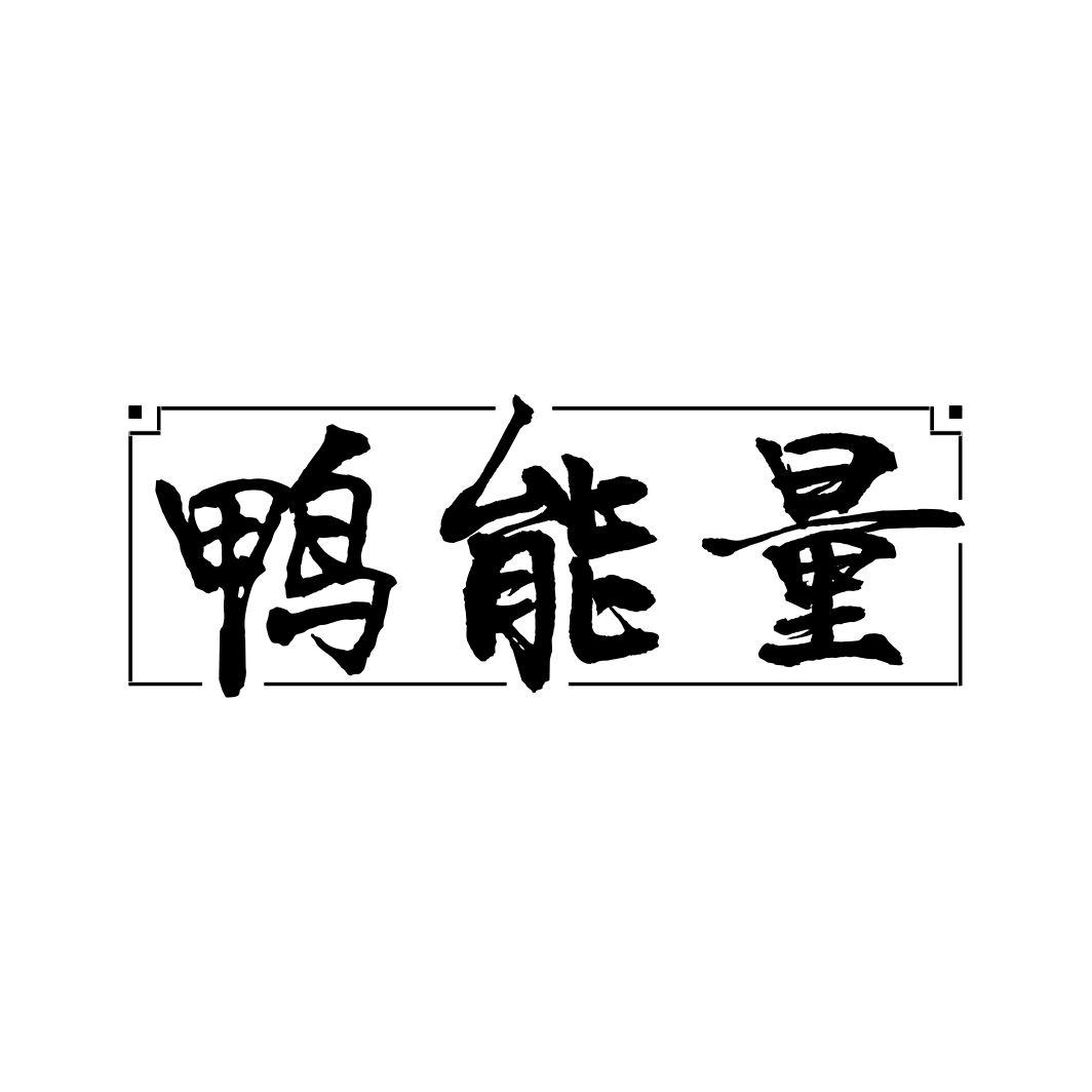 鸭能量