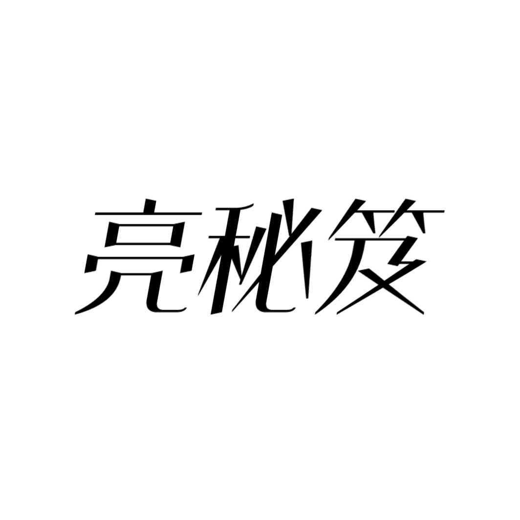 亮秘笈