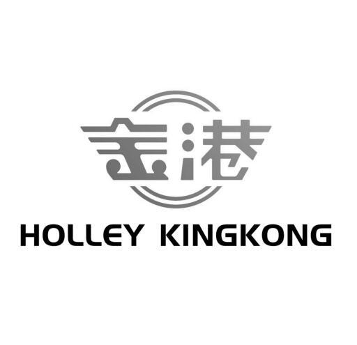 金港 HOLLEY KINGKONG