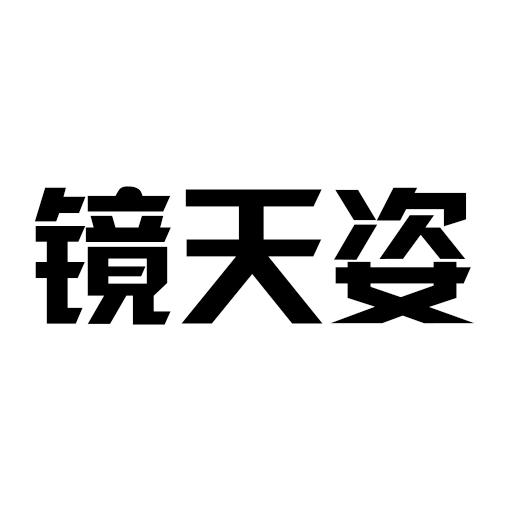 镜天姿