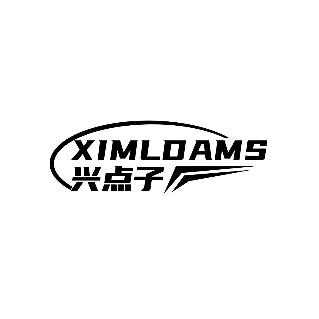 XIMLDAMS 兴点子