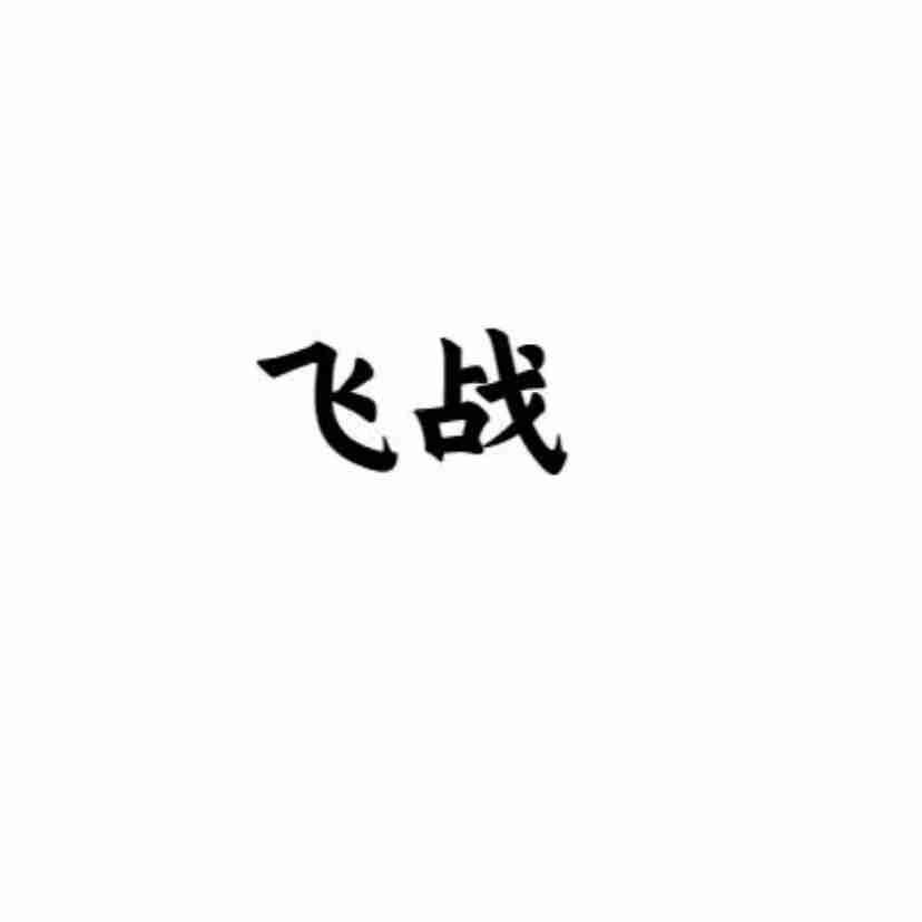 飞战