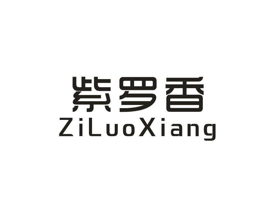 紫罗香