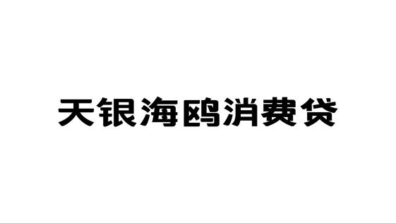 天银海鸥消费贷