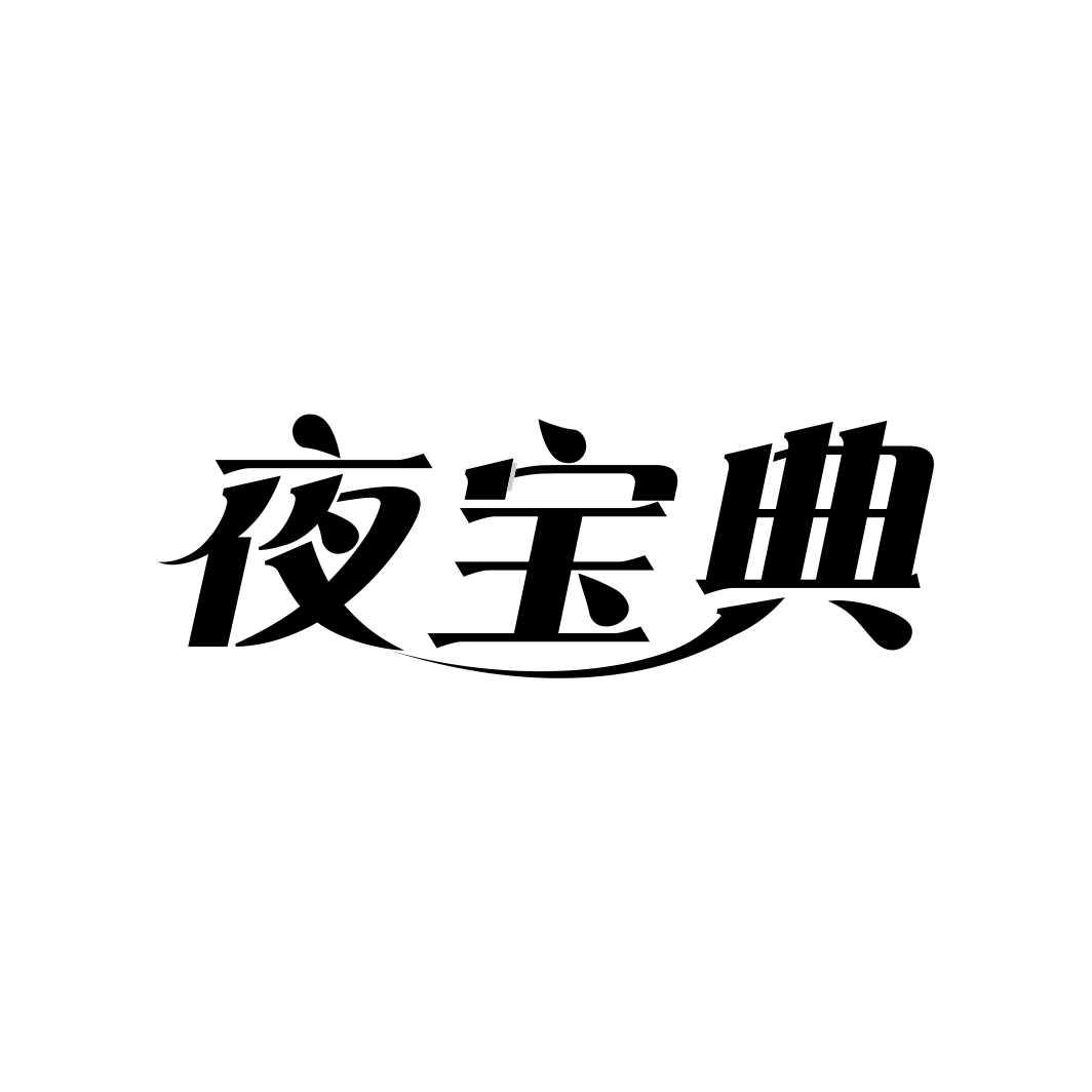 夜宝典