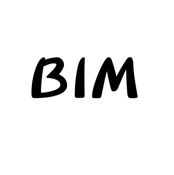 BIM