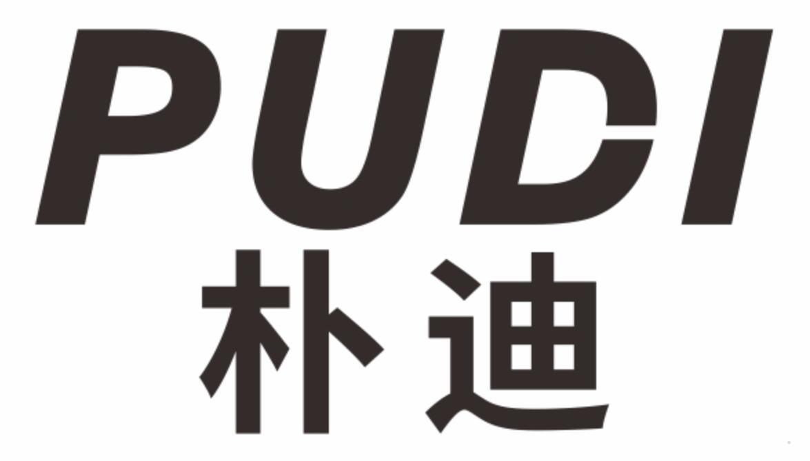 朴迪
