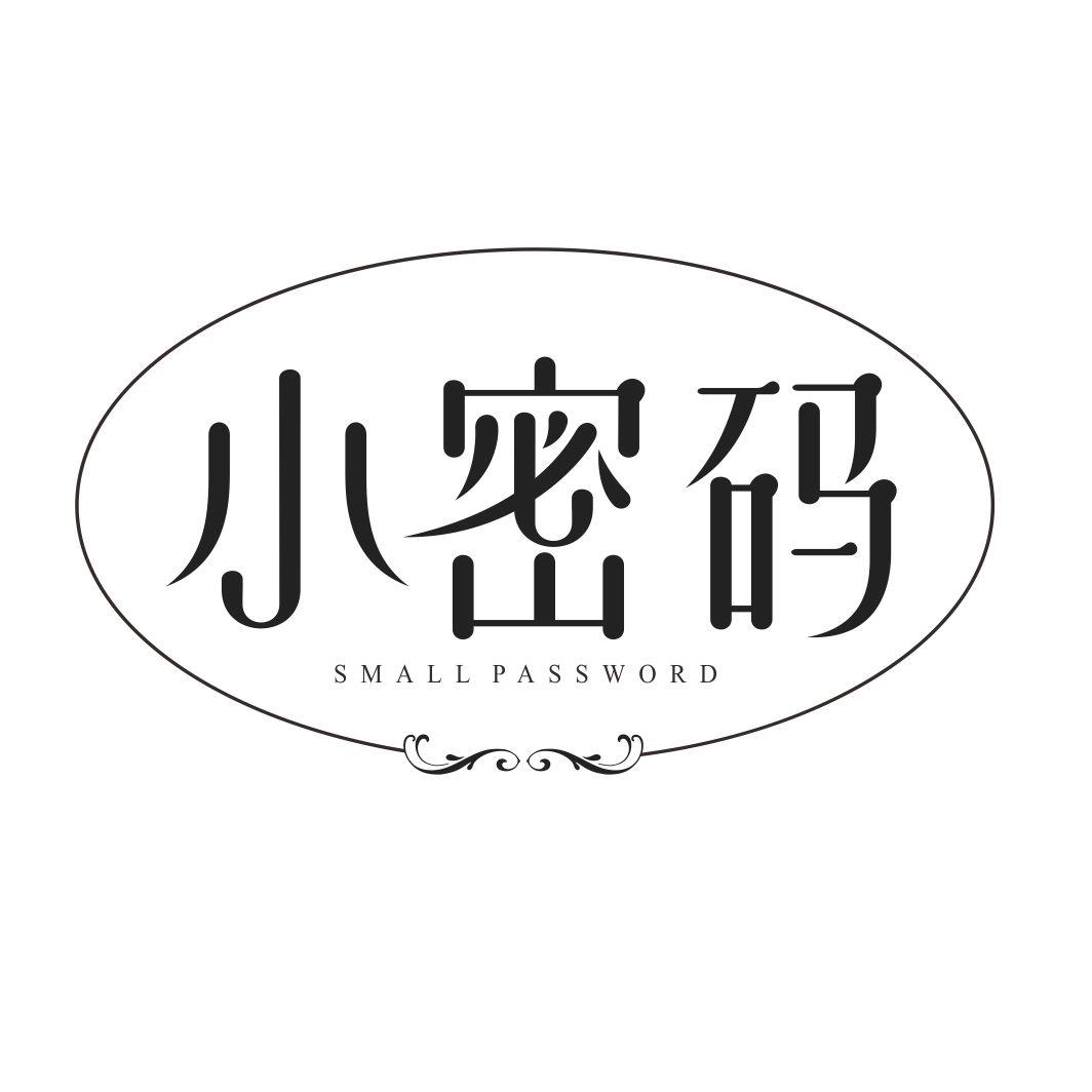 小密码 SMALL PASSWORD