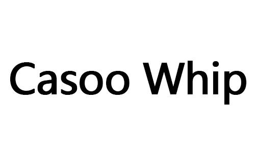 CASOO WHIP
