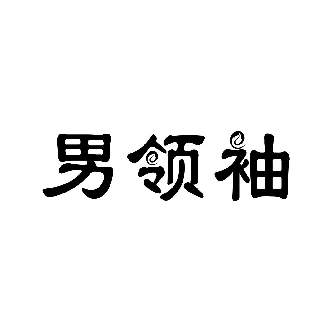 男领袖