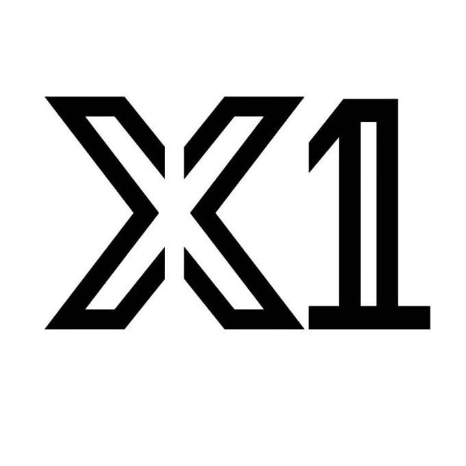 X 1