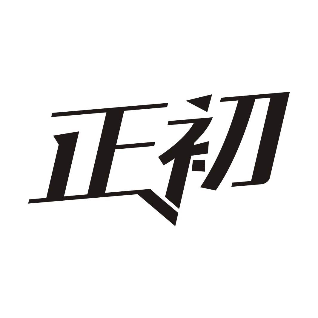 正初