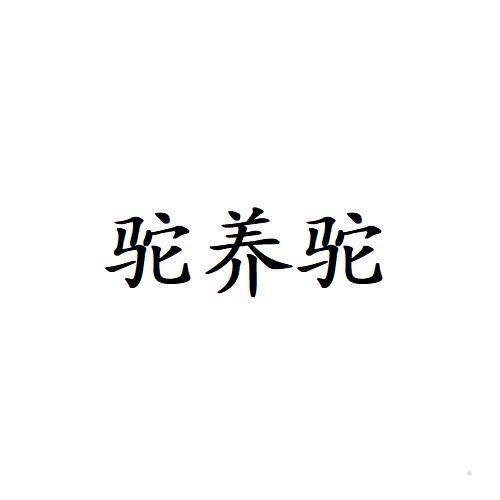 驼养驼