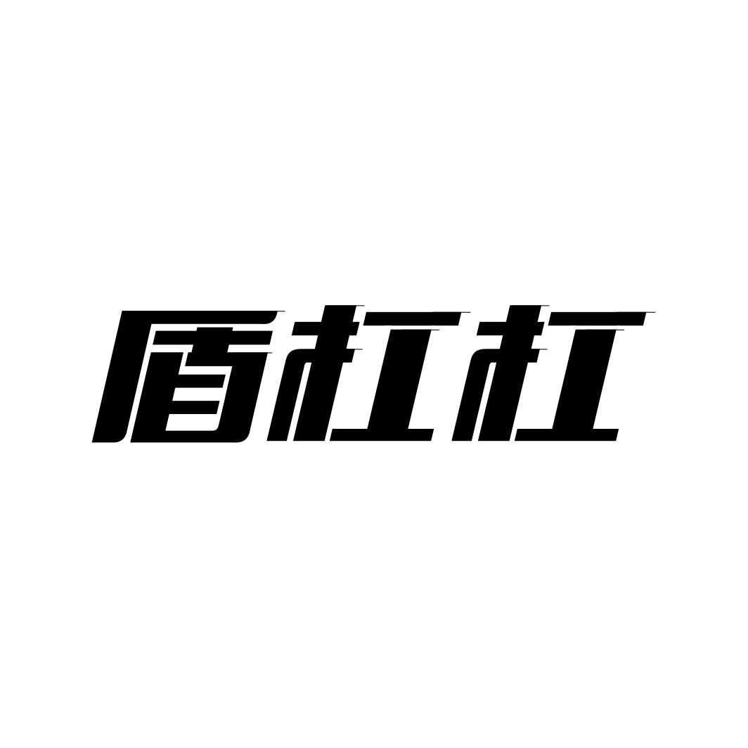 盾杠杠