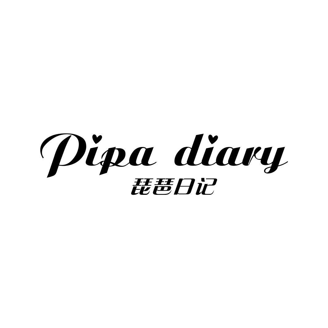 琵琶日记 PIPA DIARY