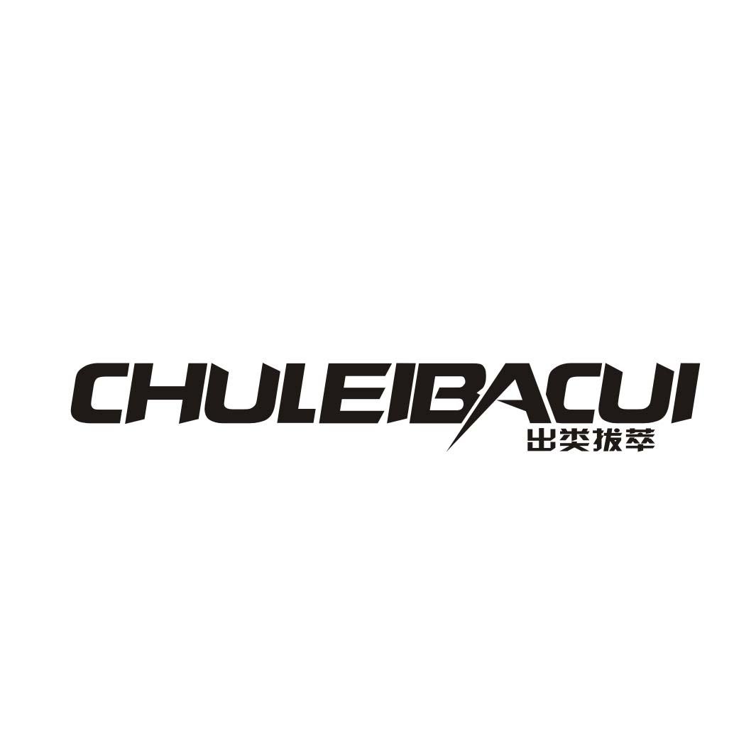 出类拔萃
