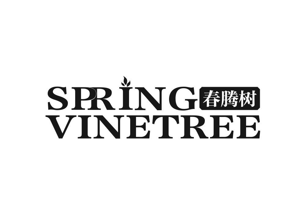 春腾树 SPRING VINETREE