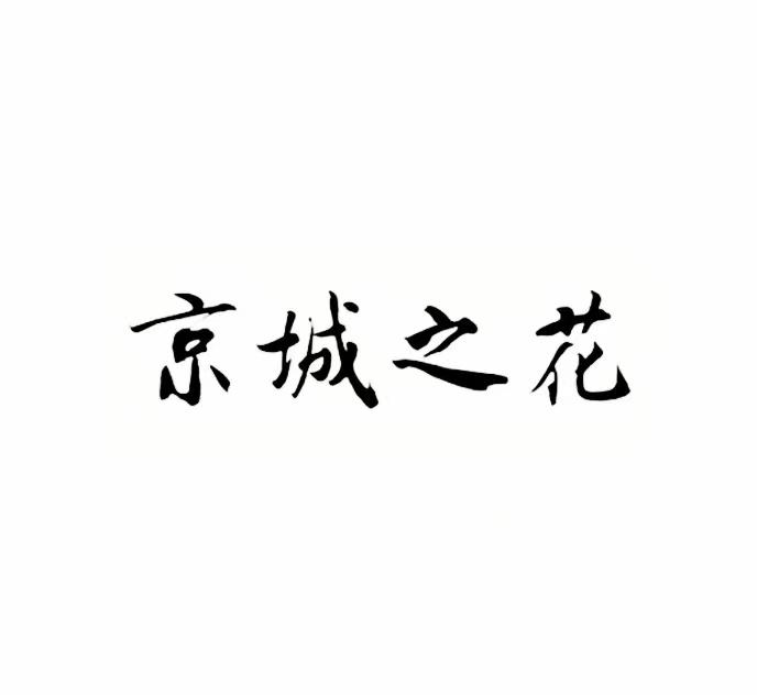 京城之花