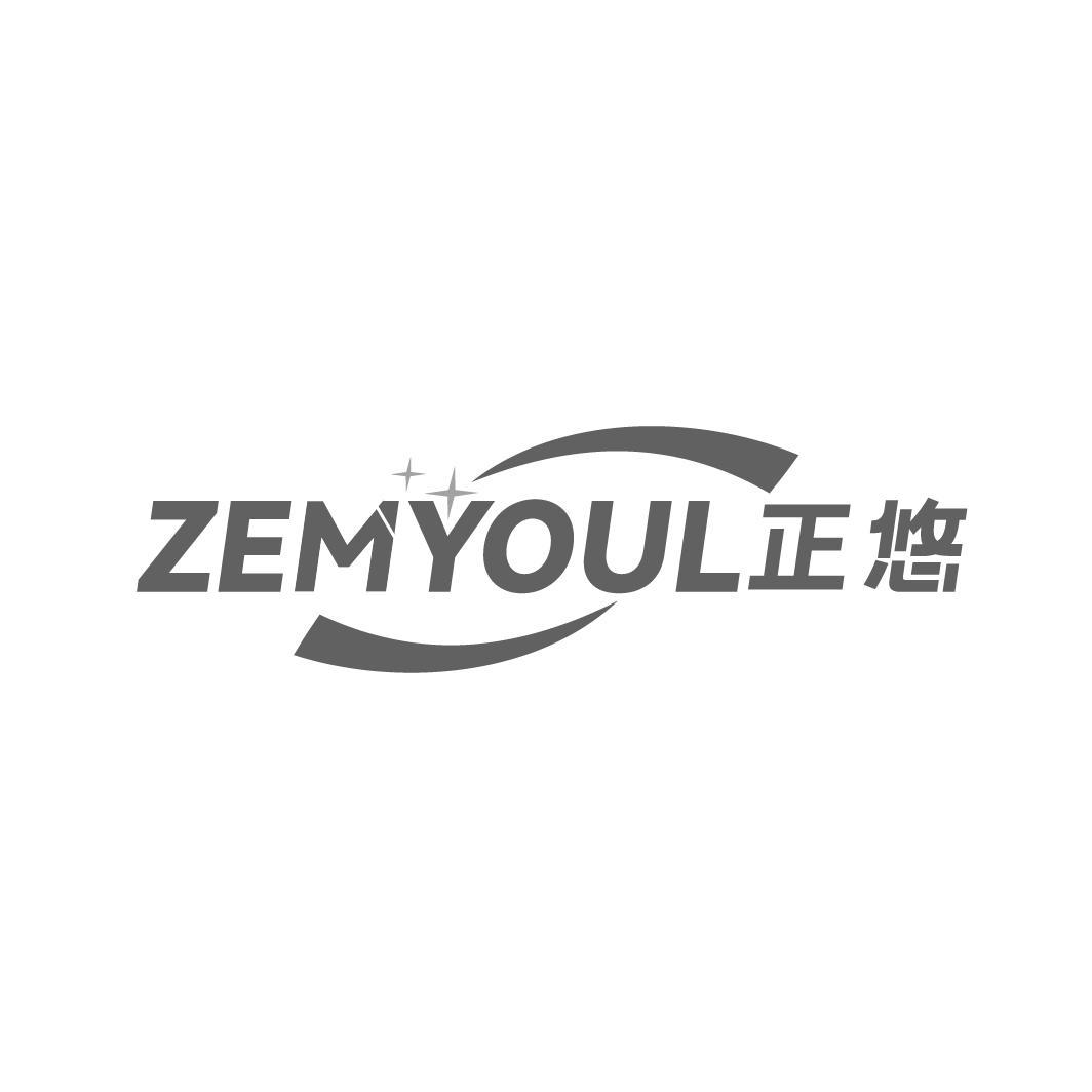 ZEMYOUL 正悠