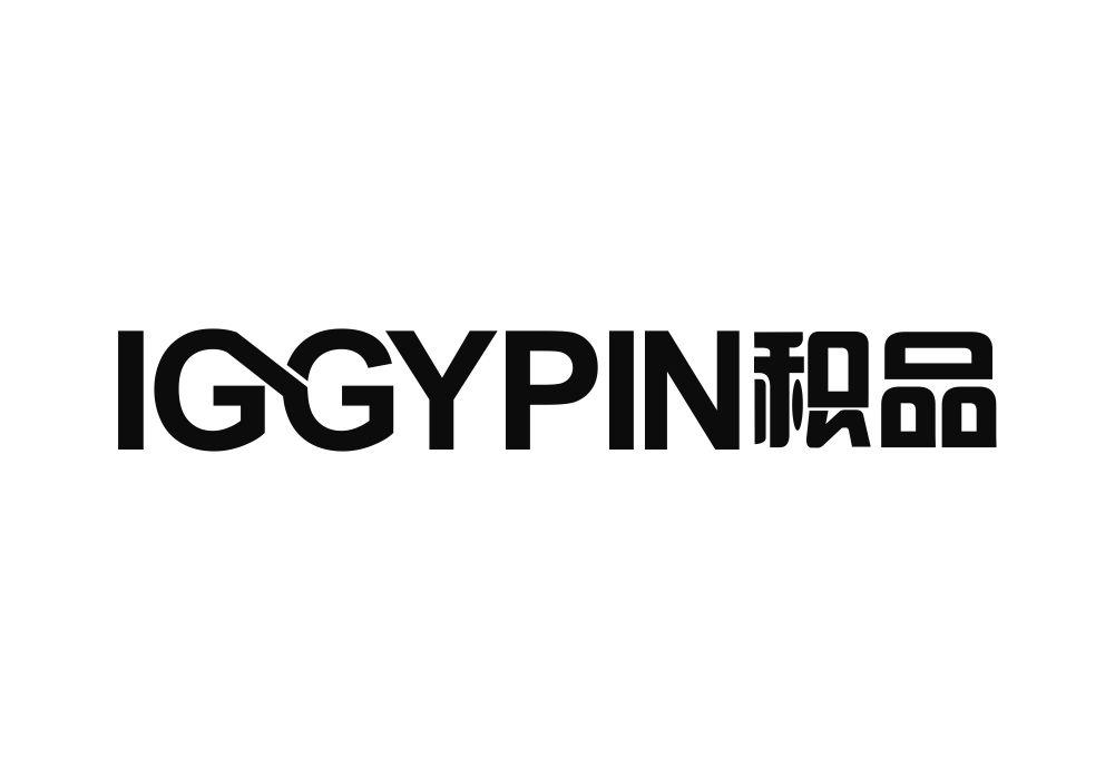 IGGYPIN 积品