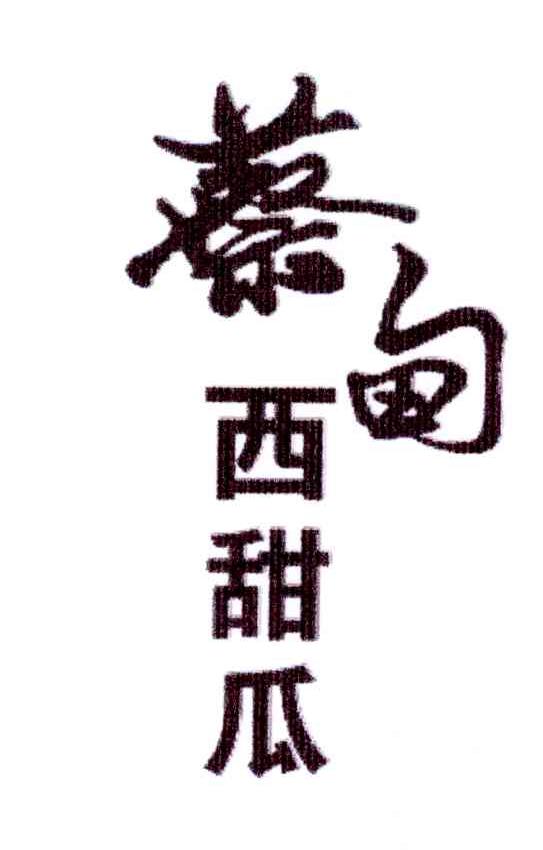 蔡甸西甜瓜