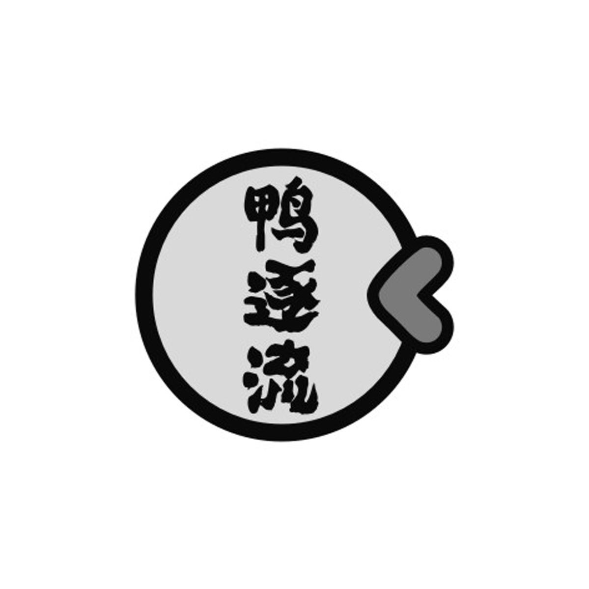 鸭逐流