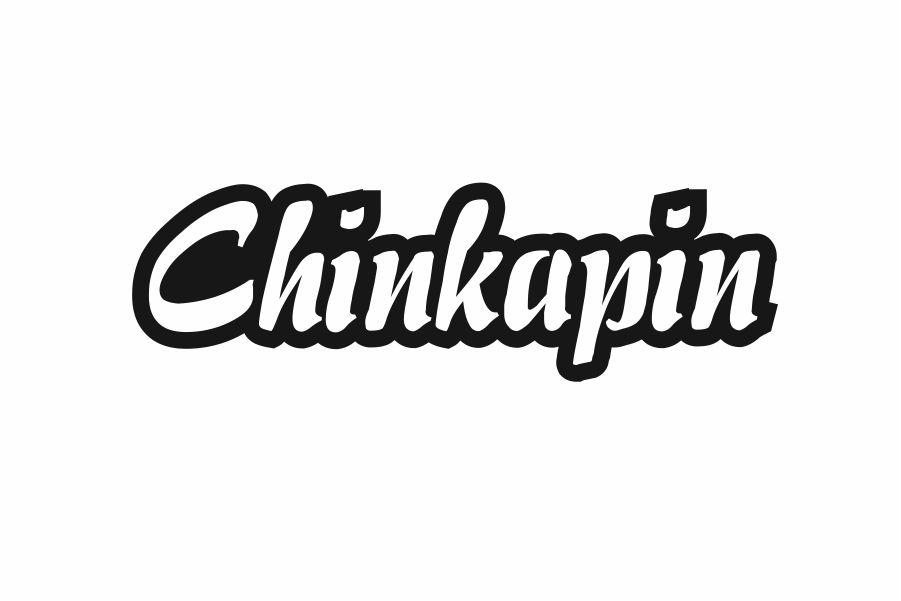 CHINKAPIN